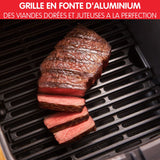 Air Fryer 2 en 1 Easy Fry and Grill